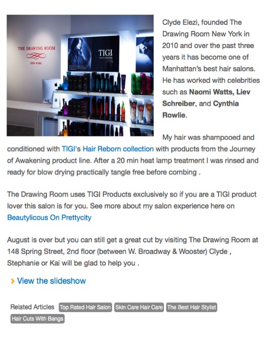 Online article snippet