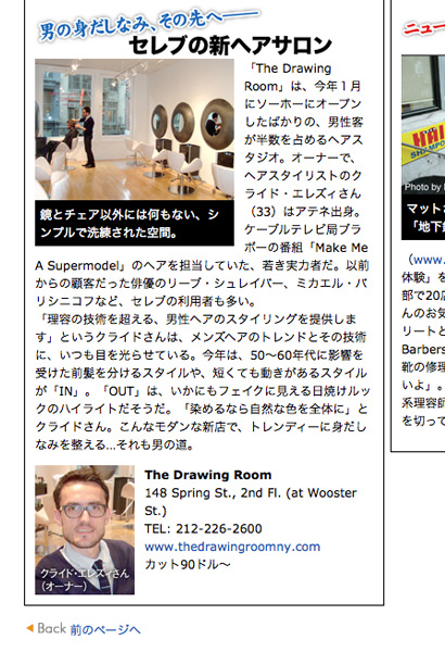 International Article snippet